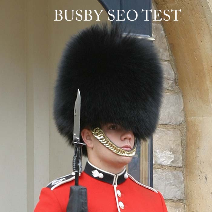 a picture containing text 'Busby Seo Test'